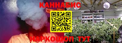 сатива Комсомольск-на-Амуре