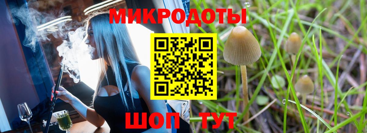 Кириши  Галлюциногенные грибы мицелий  Галлюциногенные грибы ЛСД  Вход с VPN 