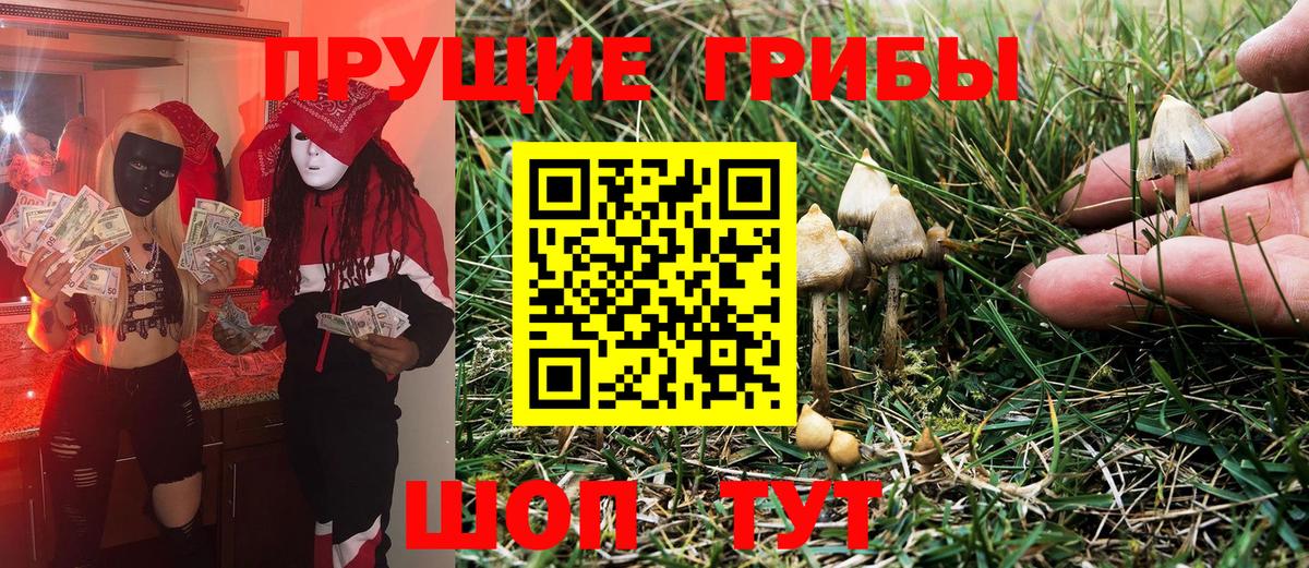 Галлюциногенные грибы мухоморы Кириши